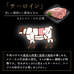 ★先行予約 2月中旬より発送★ いわて牛 サーロインステーキ 400g DV013 ロースステーキ