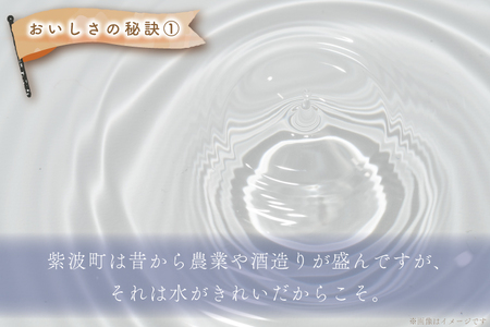 【定期便 2ヵ月】令和7年産 特別栽培米 ひとめぼれ 精米 5kg 白米 定期便 AD046