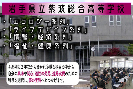 ＼紫波の高校生が作りました！／紫波町産 ぶどうジュース 300ml 4本入り｜岩手 紫波町 ぶどうジュース 紫波 高校 岩手県立紫波総合高等学校 選べる フレッシュ (EC002) 