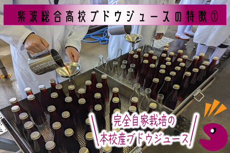 ＼紫波の高校生が作りました！／紫波町産 ぶどうジュース 300ml 4本入り｜岩手 紫波町 ぶどうジュース 紫波 高校 岩手県立紫波総合高等学校 選べる フレッシュ (EC002) 