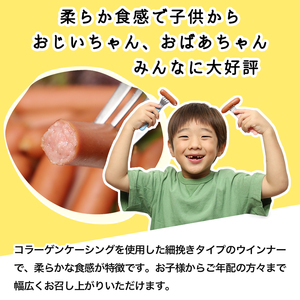 【27日まで年内発送】「国産 ウインナー 1kg」訳あり 冷凍 ソーセージ ウインナー DV030