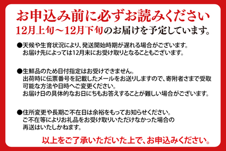 ＼年内発送・数量限定／ りんご 「はるか」 糖度14度以上 選べる容量 2.5kg 純情はるか フルーツ 岩手県産 ブランド 林檎 高級フルーツ 数量限定 はるか【冬恋研究会】 (AI014)