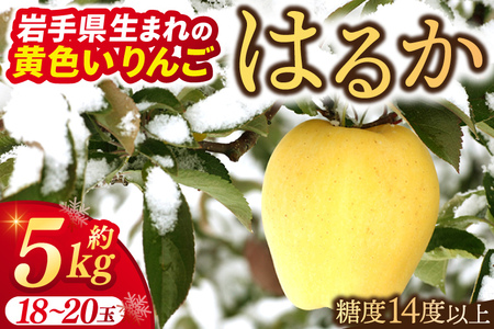 ＼先行予約／ りんご はるか 糖度14度以上 選べる容量 5kg 純情はるか フルーツ 岩手 林檎 高級フルーツ 数量限定 はるか【冬恋研究会】 (AI015)