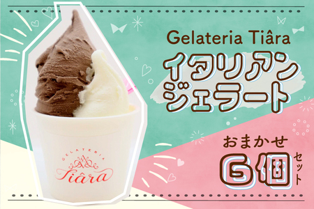 ジェラート おまかせ6個 容器：約100mlカップ (DX001)