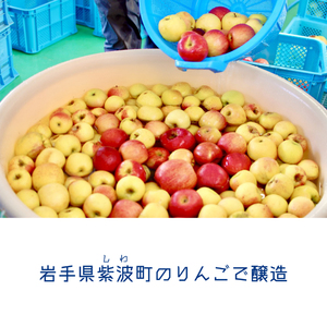 りんご ハード サイダー 「紫波サイダリー 6本 飲み比べセット」 (AY003)  紫波町産 りんご シードル ワイン