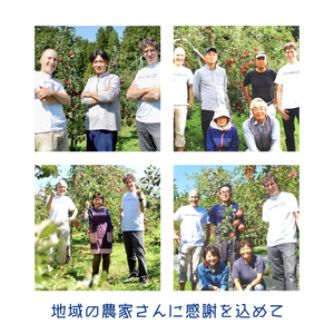 りんご ハード サイダー 「紫波サイダリー 6本 飲み比べセット」 (AY003)  紫波町産 りんご シードル ワイン