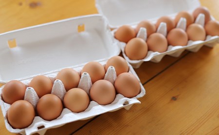 AJ005-1 【純国産鶏もみじ】平飼い卵25個入り
