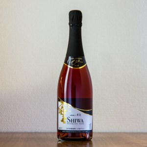AL064-1 スパークリングワイン【自園自醸ワイン紫波】