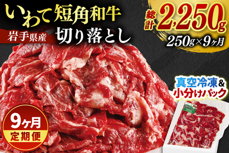 ＼9ヶ月連続 定期便／ 切り落とし 赤身 牛肉 いわて 短角和牛 250g (総計 2,250g) 小分けパック 真空冷凍 | 牛肉 肉 赤身 短角 和牛 国産牛肉 ブランド牛 切り落し 大容量 牛丼 肉じゃが 煮込み 煮物 小分け 真空パック 使い勝手の良い牛肉 数量限定 (AB113)