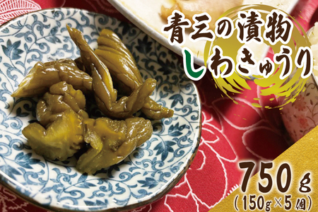 しわきゅうり5個入りセット【青三】（BF003）