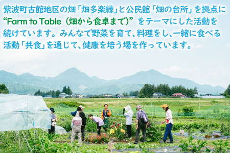 畑の台所 食事券 年間パスポート (一般社団法人くらしの研究室)（EY001）