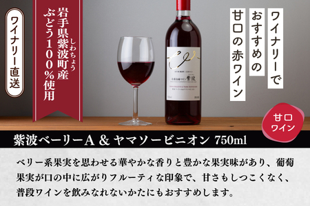 紫波ベーリーＡ＆ヤマソービニオン (AL102)