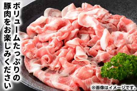 豚こま 【定期便 3ヵ月】岩手県産 豚肉 小間切れ 600g(AB135)小間 こま切れ