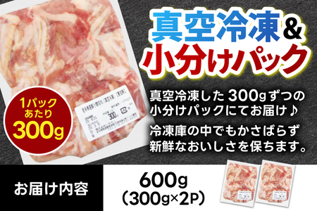 豚こま 【定期便 3ヵ月】岩手県産 豚肉 小間切れ 600g(AB135)小間 こま切れ