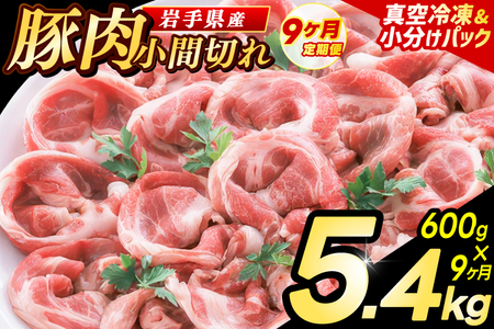 豚こま 【定期便 9ヵ月】岩手県産 豚肉 小間切れ 600g（AB137）小間 こま切れ
