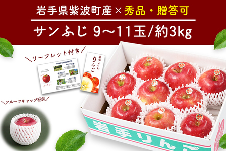 りんご 秀品 サンふじ3kg (DV053) りんご