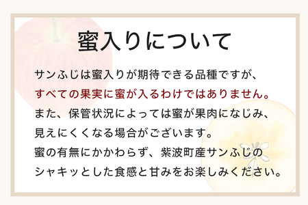 りんご 秀品 サンふじ3kg (DV053) りんご