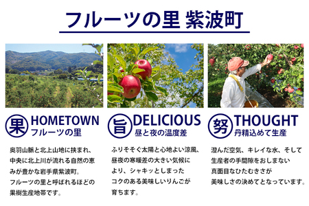 りんご 秀品 サンふじ3kg (DV053) りんご