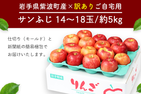 【24日まで年内発送】りんご 訳ありサンふじ5kg (DV054) りんご