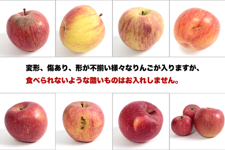 【24日まで年内発送】りんご 訳ありサンふじ5kg (DV054) りんご