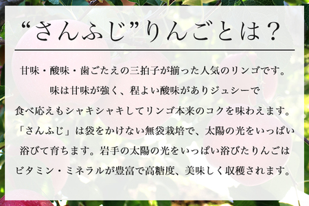 【24日まで年内発送】りんご 訳ありサンふじ5kg (DV054) りんご