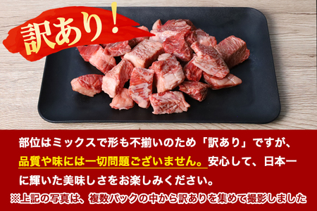 ★先行予約 2月より発送★黒毛和牛 いわて牛 乱切り 2.5kg (250g×10パック)(DV060)