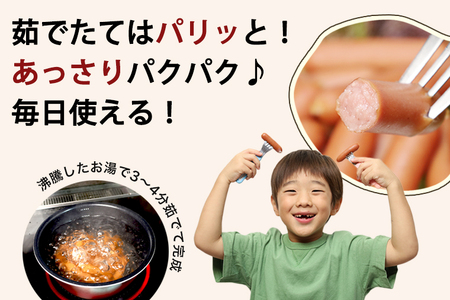 【ふるなびWEEK対象】訳あり 国産 ウインナー 10kg 冷凍 ソーセージ ウインナー DV076-2 FN-Limited