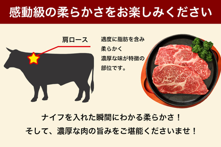 いわて短角和牛 ステーキ 600g(DV065) ロースステーキ