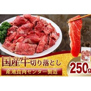 国産牛 切り落とし 250g 牛肉 DV069