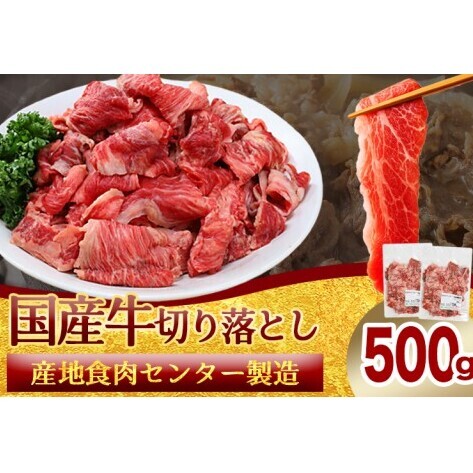 国産牛切り落とし500g（250g×2パック）（DV070）