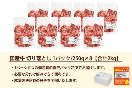 ★先行予約 2月中旬より発送★ 国産牛切り落とし2kg（250g×8パック）（DV072）