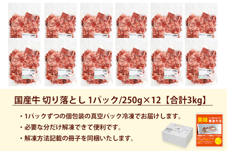 ★先行予約 2月中旬より発送★ 国産牛切り落とし3kg（250g×12パック）（DV073）