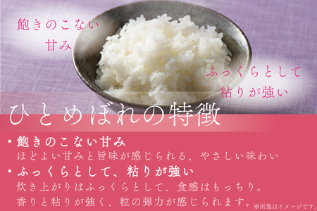 ★令和6年産★【6回定期便】特別栽培米　ひとめぼれ10kg（5kg×2袋）岩手県紫波町産 (AD054)