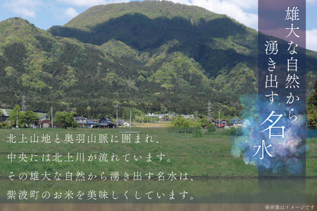 ★令和6年産★【6回定期便】特別栽培米　ひとめぼれ10kg（5kg×2袋）岩手県紫波町産 (AD054)