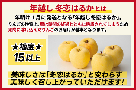 ★1月発送★ りんご 「年越し 冬恋はるか 約2.5kg 」 糖度15度以上 数量限定 岩手県産 りんご リンゴ 林檎 冬恋 はるか フルーツ くだもの 果物 【冬恋研究会】 (AI022-ts)