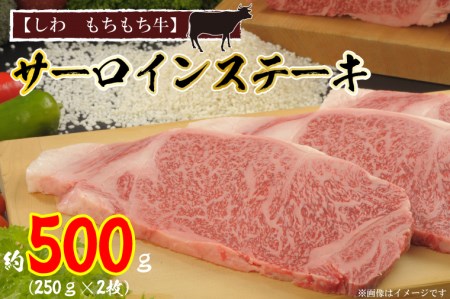 ＼先行予約／【しわ　もちもち牛】サーロインステーキ約500ｇ（250ｇ×2枚） (AM002-1)