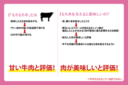 ＼先行予約／【しわ　もちもち牛】サーロインステーキ約500ｇ（250ｇ×2枚） (AM002-1)