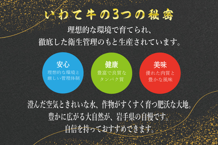 いわて牛 サーロインステーキ 600g (AB034-3)全国最多日本一 ロースステーキ