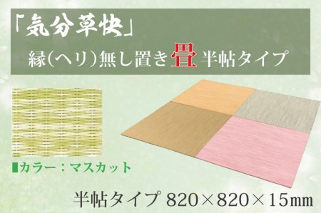 CF001 「気分草快」ヘリ無し置き畳　半帖タイプ【マスカット】