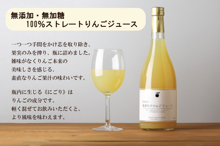 りんごジュース 2本セット(AL055-1)りんごジュース 