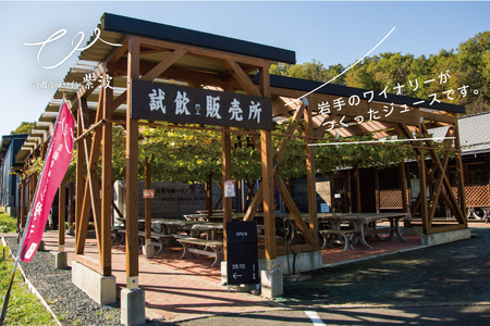 りんごジュース 2本セット(AL055-1)りんごジュース 