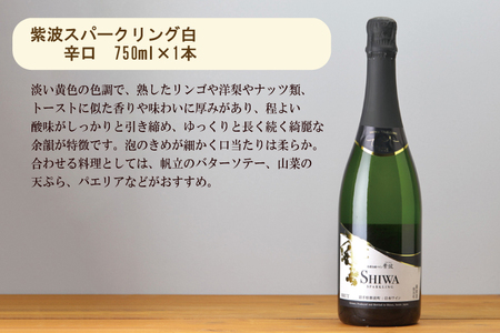 【23日まで年内発送】ワイン 紫波スパークリングワイン 白・ロゼ2本セット AL065-1