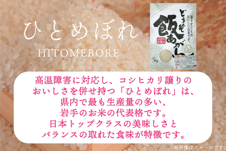 【新米】令和7年産 特別栽培米 ひとめぼれ 5㎏ 白米 CP037