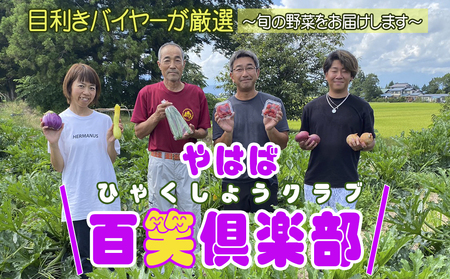 数量限定　矢巾町産　秋野菜セット【10種】9月発送