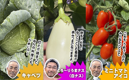 数量限定　矢巾町産　秋野菜セット【10種】9月発送