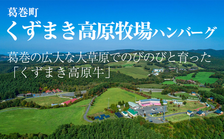 岩手県　矢巾町と葛巻町の人気返礼品 ハンバーグの食べ比べ合計12個