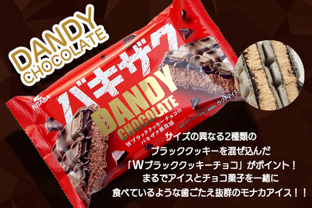 フタバ食品　アイス20個　ダンディーチョコレート＆バニラセット　2種類各10個