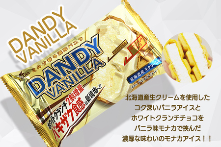フタバ食品　アイス20個　ダンディーチョコレート＆バニラセット　2種類各10個