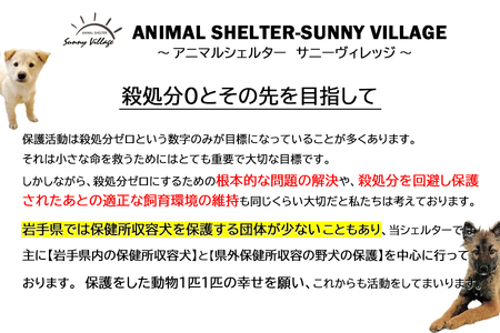 【お礼品なし】殺処分ゼロとその先を目指して！　動物保護シェルターへの応援寄附　1,000円