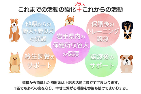 【お礼品なし】殺処分ゼロとその先を目指して！　動物保護シェルターへの応援寄附　2,000円